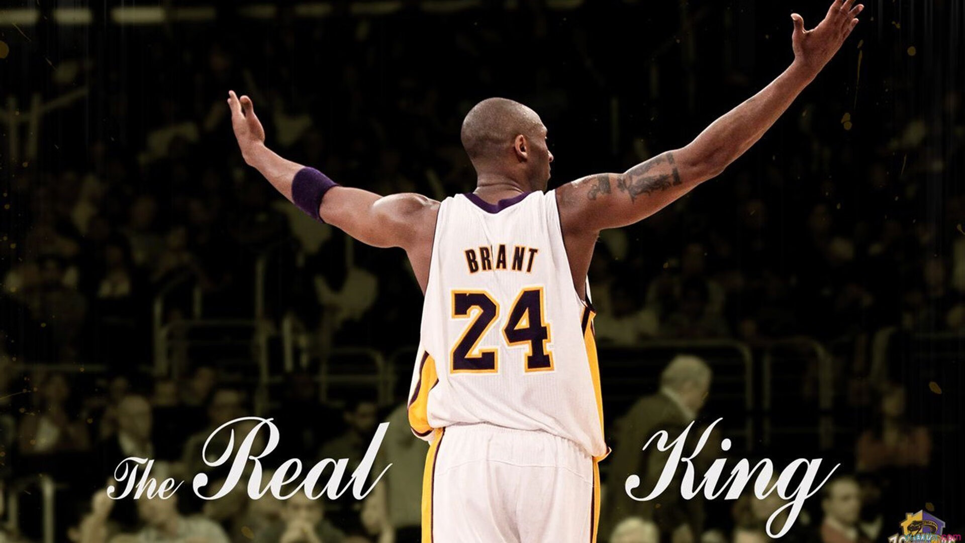 世界足坛未来超级巨星